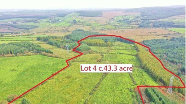 €7k/acre sought for 43 acre Kerry block